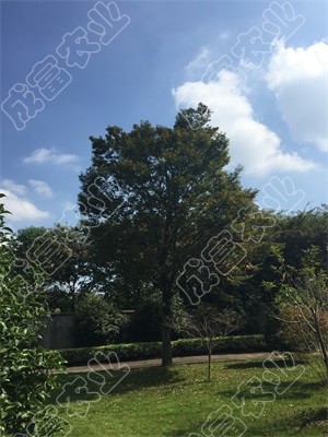 ��Θ�(sh��)